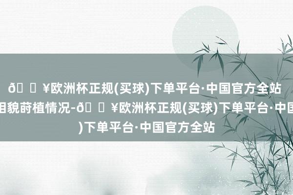 🔥欧洲杯正规(买球)下单平台·中国官方全站 　　对于重要相貌莳植情况-🔥欧洲杯正规(买球)下单平台·中国官方全站