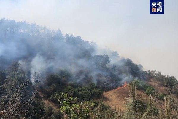 🔥欧洲杯正规(买球)下单平台·中国官方全站给熄灭责任带来了很大贫窭-🔥欧洲杯正规(买球)下单平台·中国官方全站