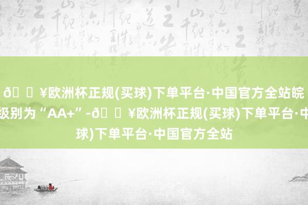 🔥欧洲杯正规(买球)下单平台·中国官方全站皖天转债信用级别为“AA+”-🔥欧洲杯正规(买球)下单平台·中国官方全站