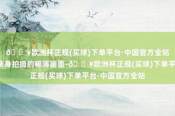 🔥欧洲杯正规(买球)下单平台·中国官方全站本片包含梅迪哈亲身拍摄的稀薄画面-🔥欧洲杯正规(买球)下单平台·中国官方全站