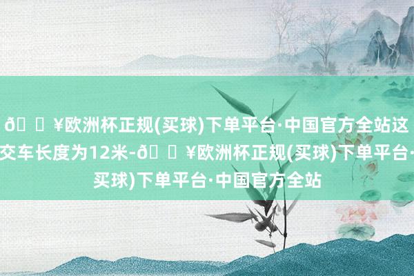 🔥欧洲杯正规(买球)下单平台·中国官方全站这些宇通电动公交车长度为12米-🔥欧洲杯正规(买球)下单平台·中国官方全站