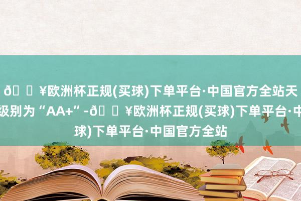 🔥欧洲杯正规(买球)下单平台·中国官方全站天业转债信用级别为“AA+”-🔥欧洲杯正规(买球)下单平台·中国官方全站