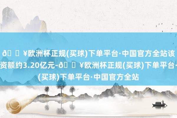 🔥欧洲杯正规(买球)下单平台·中国官方全站该技俩权术总投资额约3.20亿元-🔥欧洲杯正规(买球)下单平台·中国官方全站