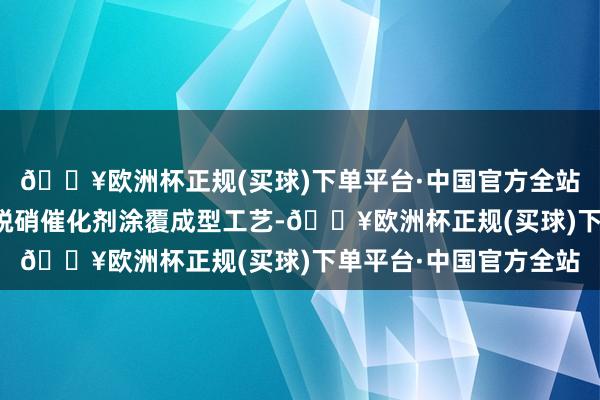 🔥欧洲杯正规(买球)下单平台·中国官方全站相干实践包括小孔径脱硝催化剂涂覆成型工艺-🔥欧洲杯正规(买球)下单平台·中国官方全站