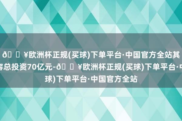 🔥欧洲杯正规(买球)下单平台·中国官方全站其中第一期面容总投资70亿元-🔥欧洲杯正规(买球)下单平台·中国官方全站