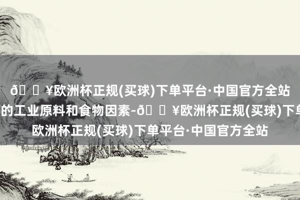 🔥欧洲杯正规(买球)下单平台·中国官方全站淀粉是一种庸碌使用的工业原料和食物因素-🔥欧洲杯正规(买球)下单平台·中国官方全站