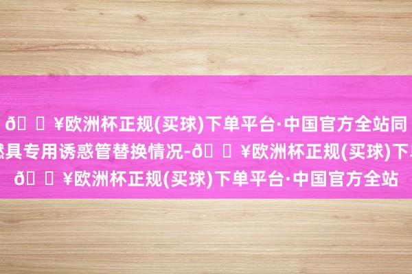 🔥欧洲杯正规(买球)下单平台·中国官方全站同步还将核查2022年燃具专用诱惑管替换情况-🔥欧洲杯正规(买球)下单平台·中国官方全站