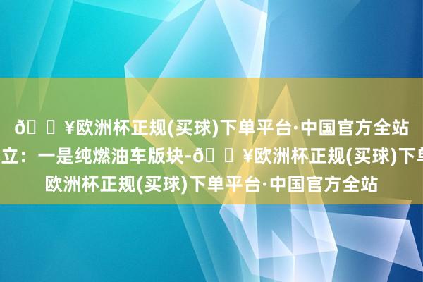 🔥欧洲杯正规(买球)下单平台·中国官方全站新车一共两种能源成立：一是纯燃油车版块-🔥欧洲杯正规(买球)下单平台·中国官方全站