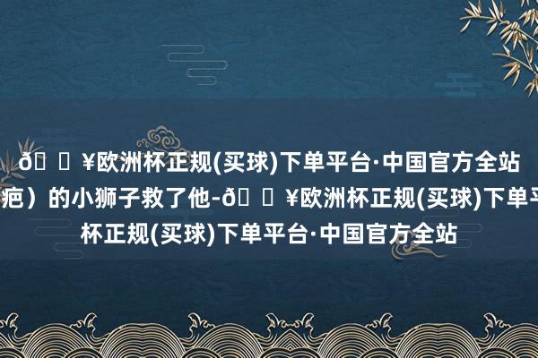 🔥欧洲杯正规(买球)下单平台·中国官方全站一只名叫塔卡（刀疤）的小狮子救了他-🔥欧洲杯正规(买球)下单平台·中国官方全站