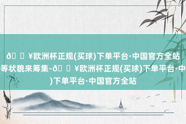 🔥欧洲杯正规(买球)下单平台·中国官方全站地盘出让金等状貌来筹集-🔥欧洲杯正规(买球)下单平台·中国官方全站