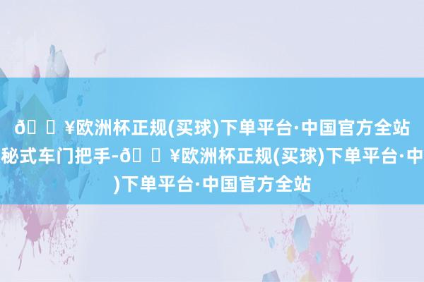 🔥欧洲杯正规(买球)下单平台·中国官方全站并搭配半隐秘式车门把手-🔥欧洲杯正规(买球)下单平台·中国官方全站